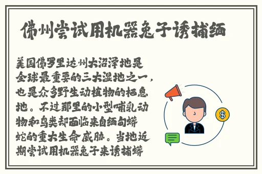 2023男男钙Ggy钙站